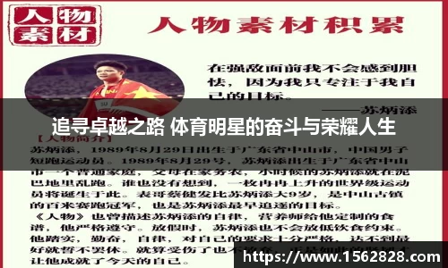 追寻卓越之路 体育明星的奋斗与荣耀人生