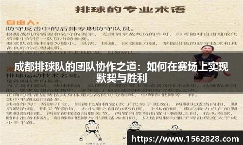 成都排球队的团队协作之道：如何在赛场上实现默契与胜利