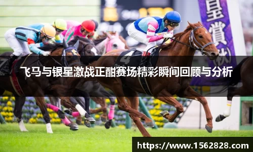 飞马与银星激战正酣赛场精彩瞬间回顾与分析