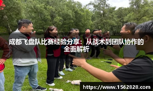 成都飞盘队比赛经验分享：从战术到团队协作的全面解析